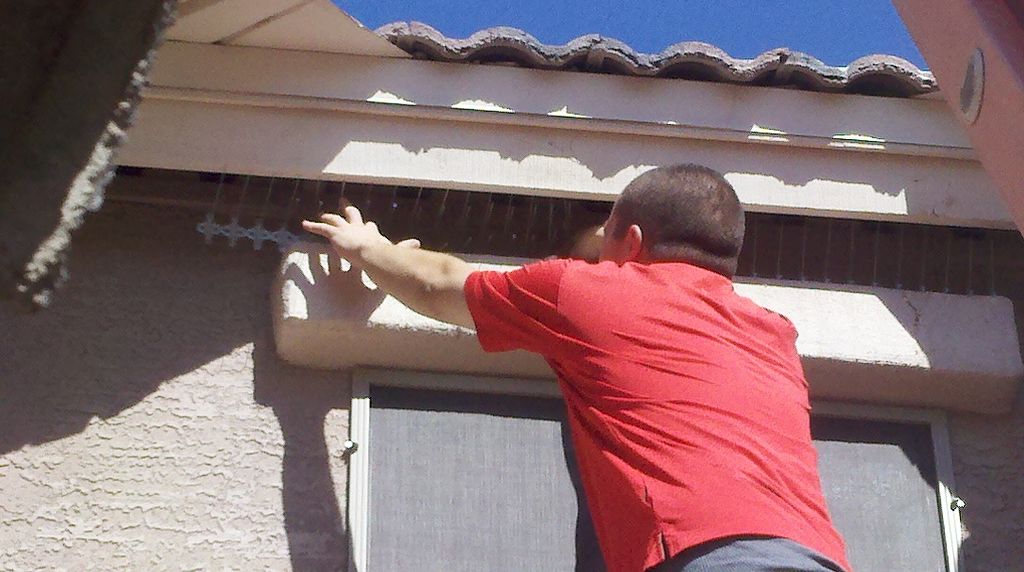 Technician installing bird spike.