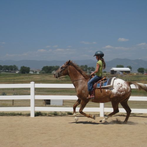 Learning the canter