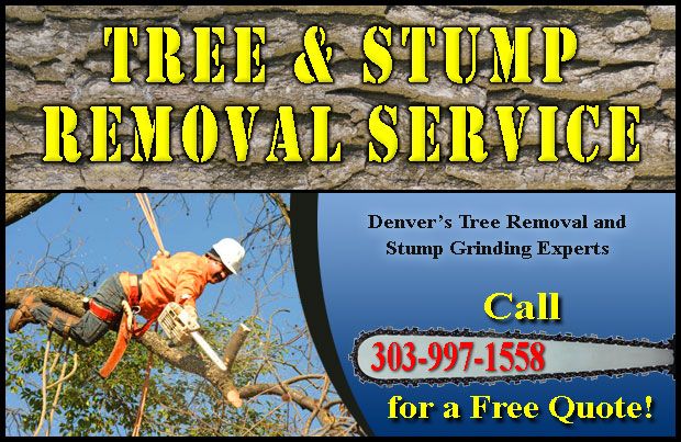 Tree Removal in Denver Services
