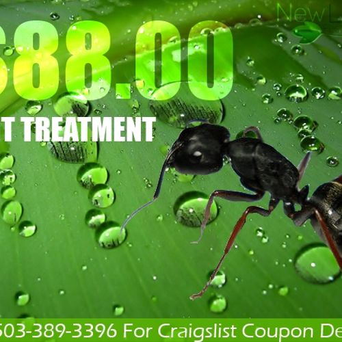 $88 ant treatment coupon.  Call for details.