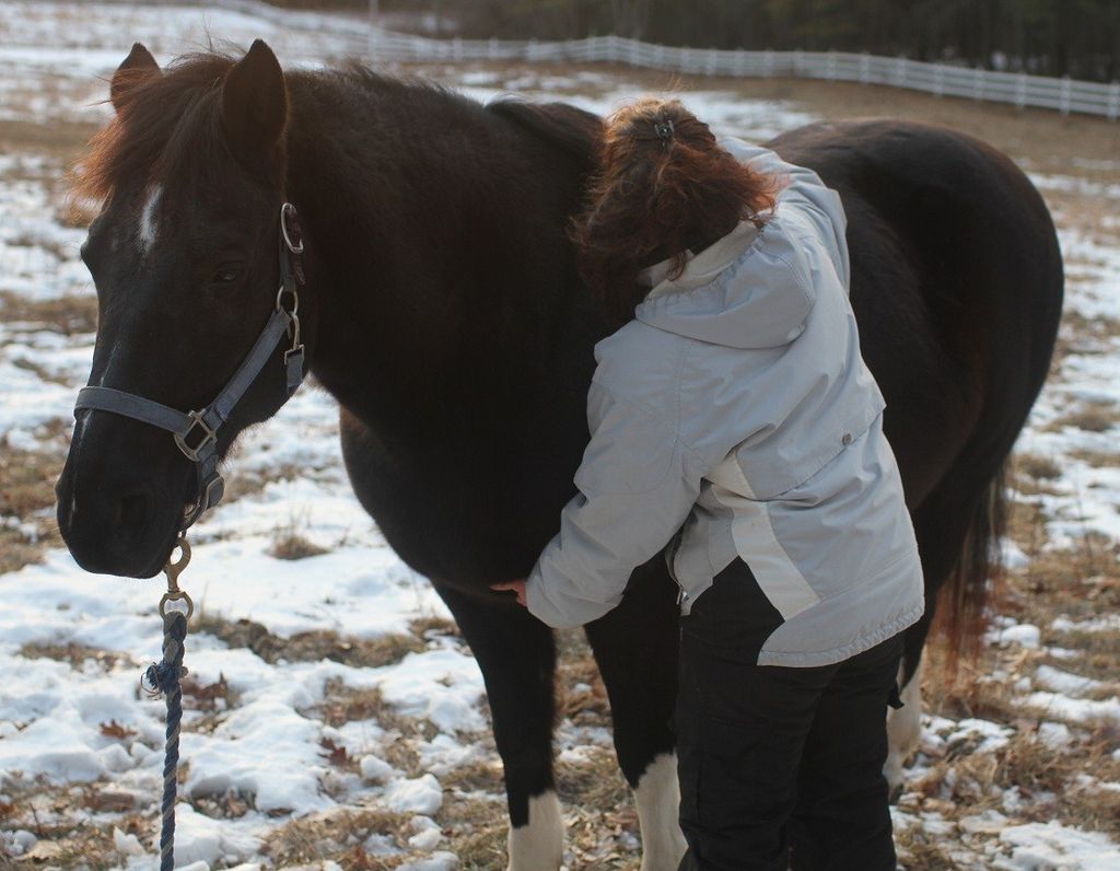 Echoe receiving Reiki - he loves his Reiki session