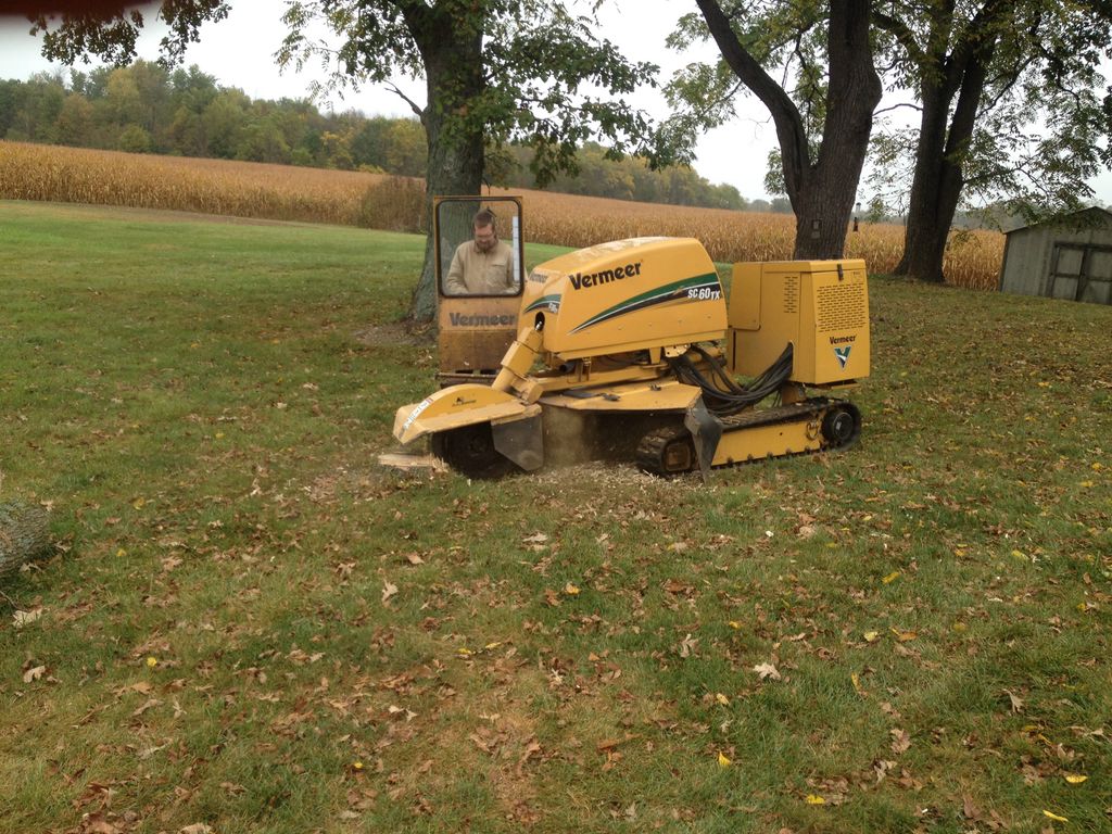 Grinding out stumps