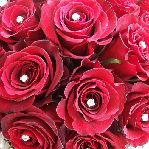 All red rose brides bouquet with diamond gems