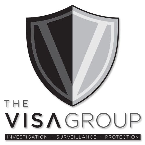 THE VISA GROUP LLC