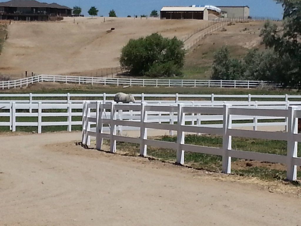 3 Rail vinyl fencing