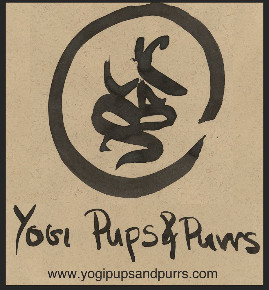 Yogi Pups & Purrs