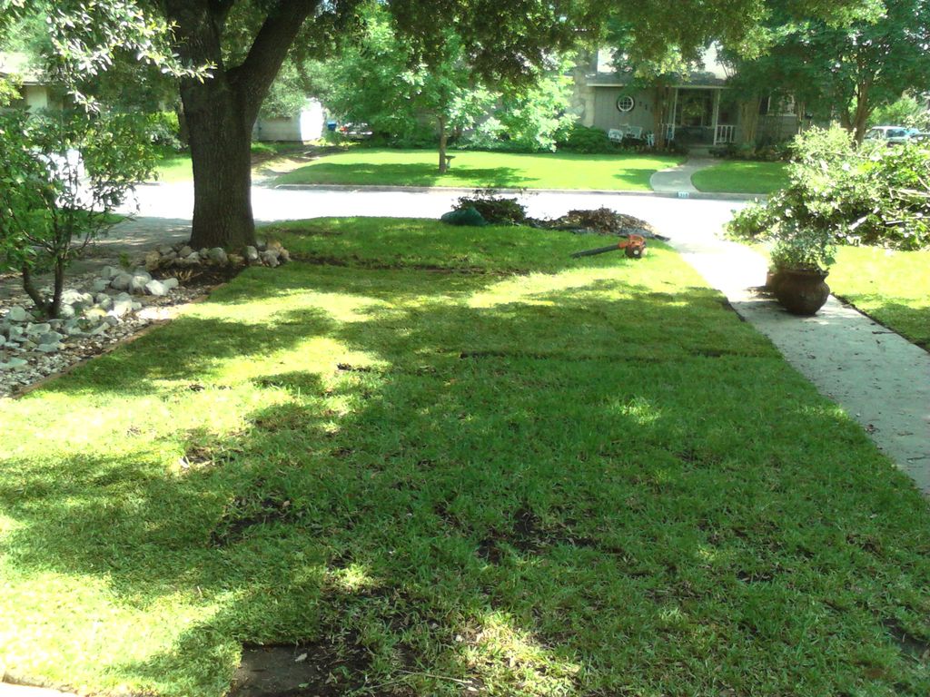 Layed 2pallets of st.Augustine sod in customers fr