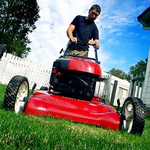'SPECIALIZING' in Smaller Yards & Lawns.
I do the 