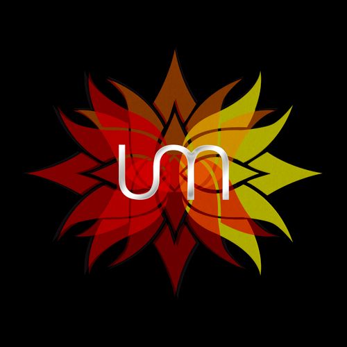 Logo creation for Universal Mirror; social brandin