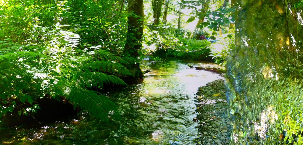 Relax by the beautiful creek