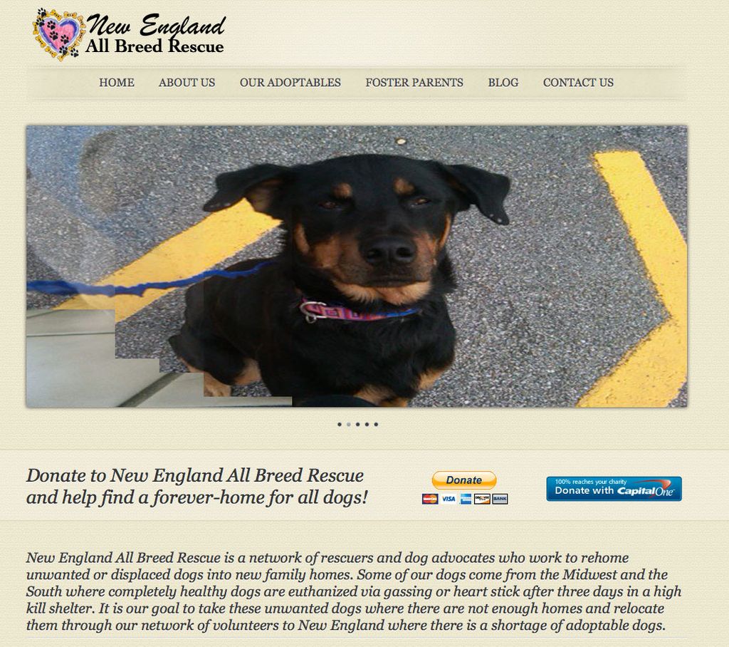 New England All Breed Rescue - Thompson, CT -  Apr