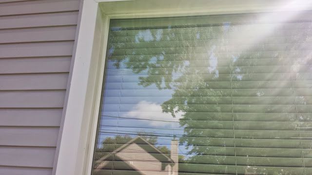 as low as $5 per window