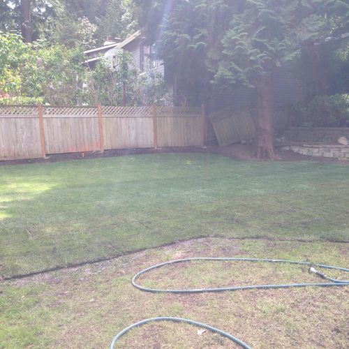Sod installation in Bellevue, we torn off a old pa