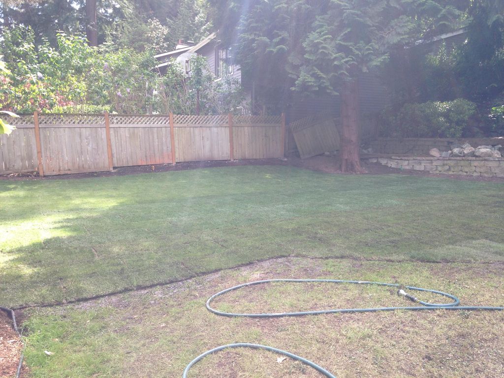 Sod installation in Bellevue, we torn off a old pa