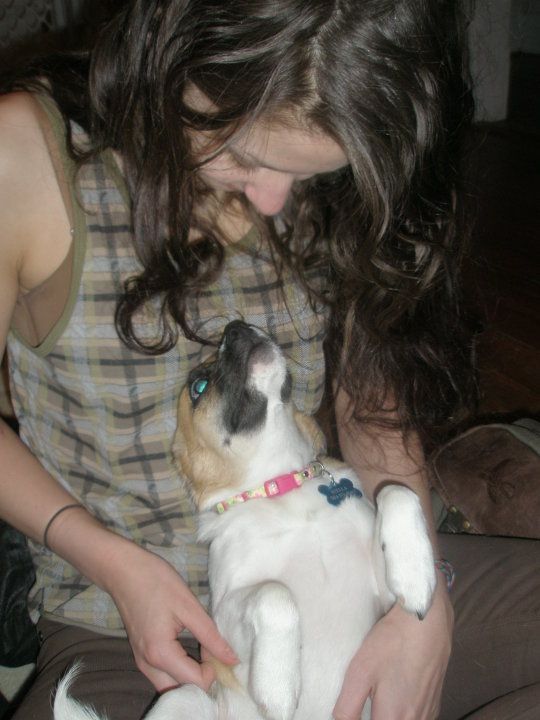 Another one of the sweetest pup, Miss Mason.