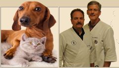 Colleyville Animal Clinic
701 Glade Road
Colleyvil
