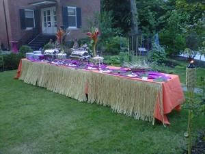 Luau themed party was a great hit for a 21st surpr