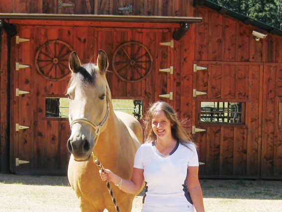 Nikki & Shilo - 8 Year Old Draft X Gelding