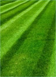 Awesome Lawns