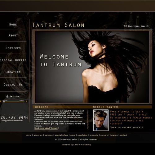 Website for local salon