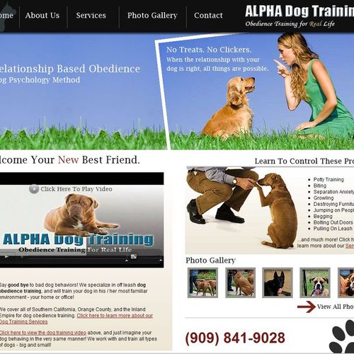 Website for local dog trainer