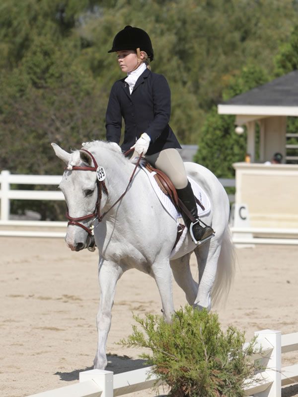 Learn Dressage