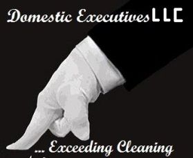 Domestic Executives, LLC