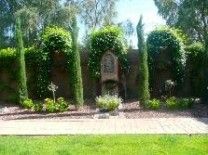 Fall and Spring landscape Cleanups, regular lawn a