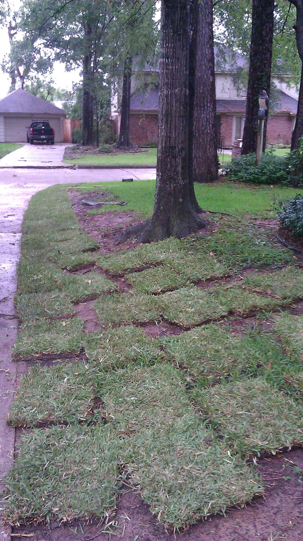 We are installing Sod for this home in the Woodlan