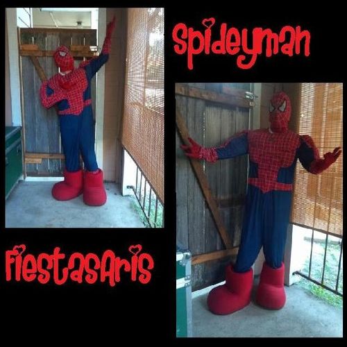 SPIDEYMAN-Masked Super Hero and web-slinger!