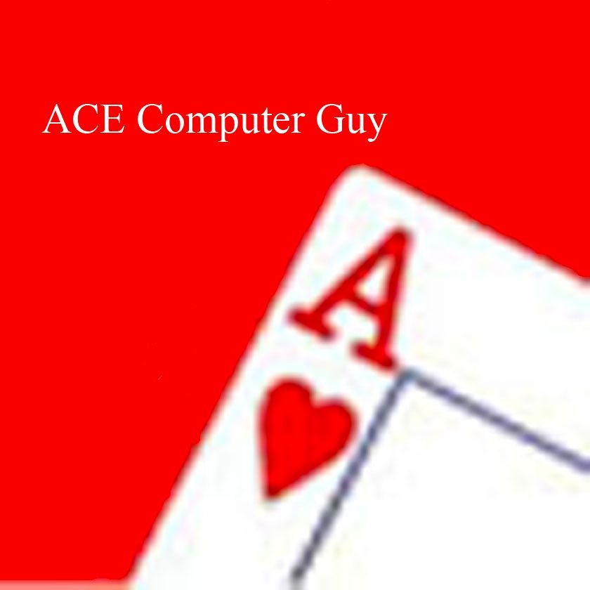 Ace Computer Guy