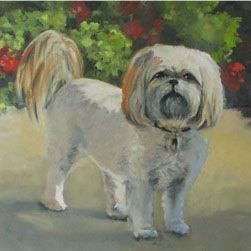16 x 20 oil "Sashi"