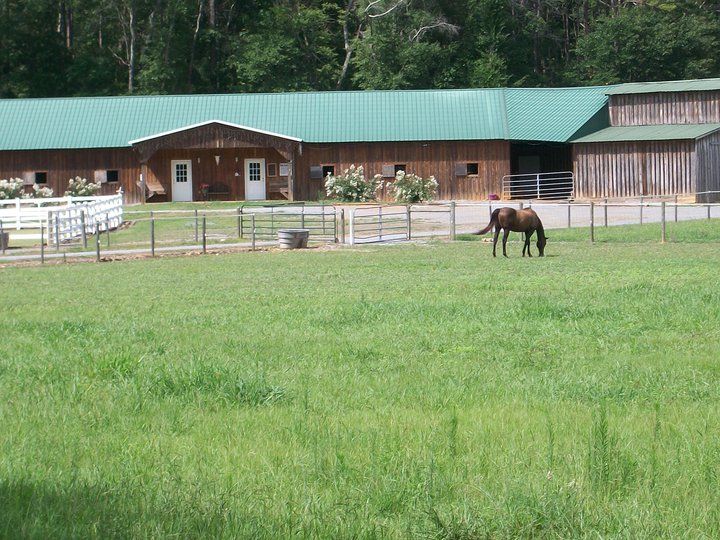 Dry Creek Stables