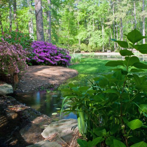 Norfolk Botanical Garden, Norfolk, Virginia