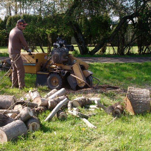 Stump grinding  by Arbor Art Tree Service