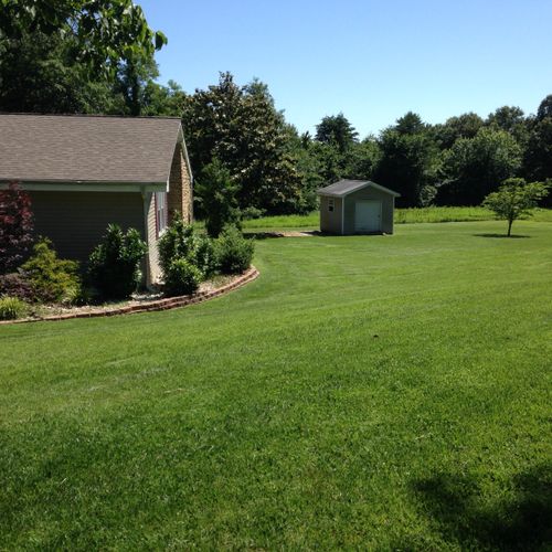 Lawn and landscape maintained by Halstead Service 