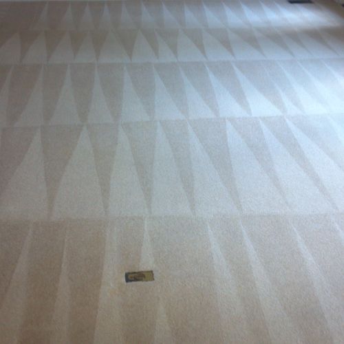 Professional carpet cleaning at Irving Park Greens