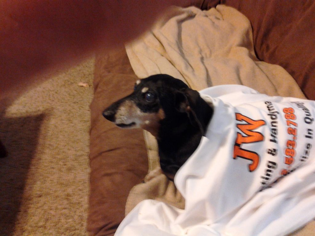 Here is our mascot here at JW Painting & Handyman.
