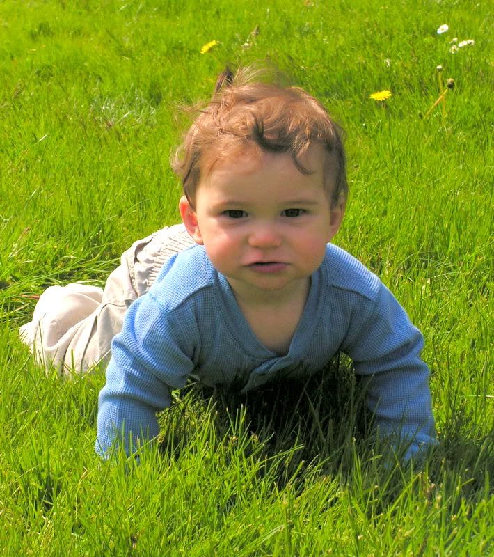 Our 100% Organic treatments provide a safe environ