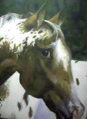A horse painting that I donated to help raise mone