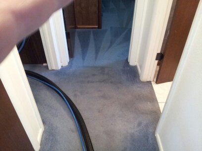 Heavenly Carpet Cleaning