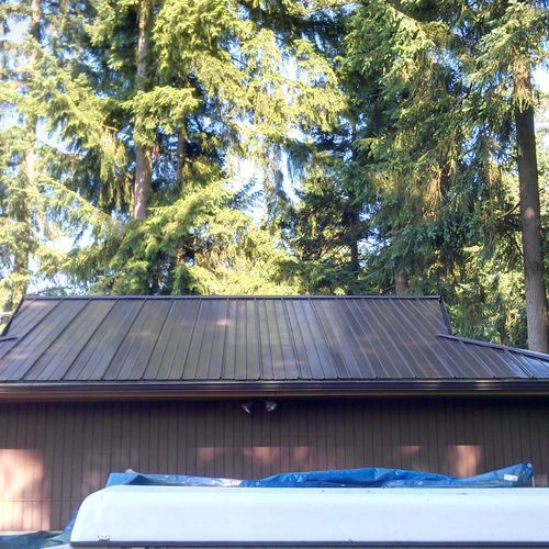 Metal Roof After Cleaning