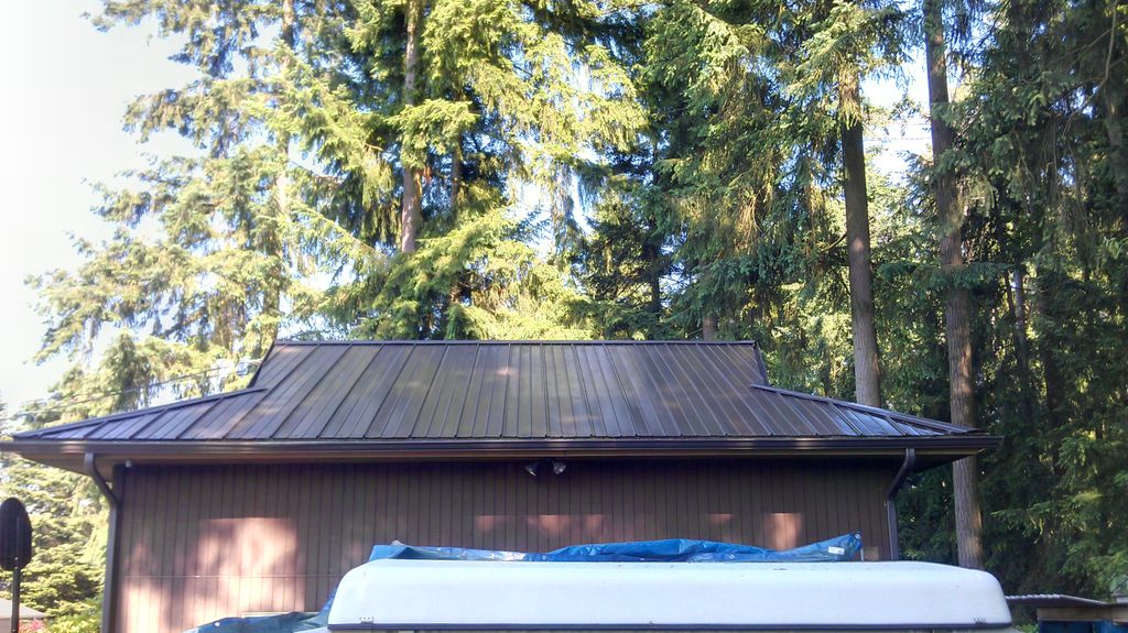 Metal Roof After Cleaning