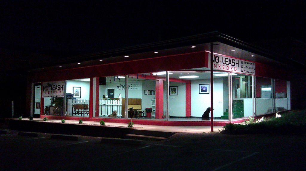 NLN At Night
