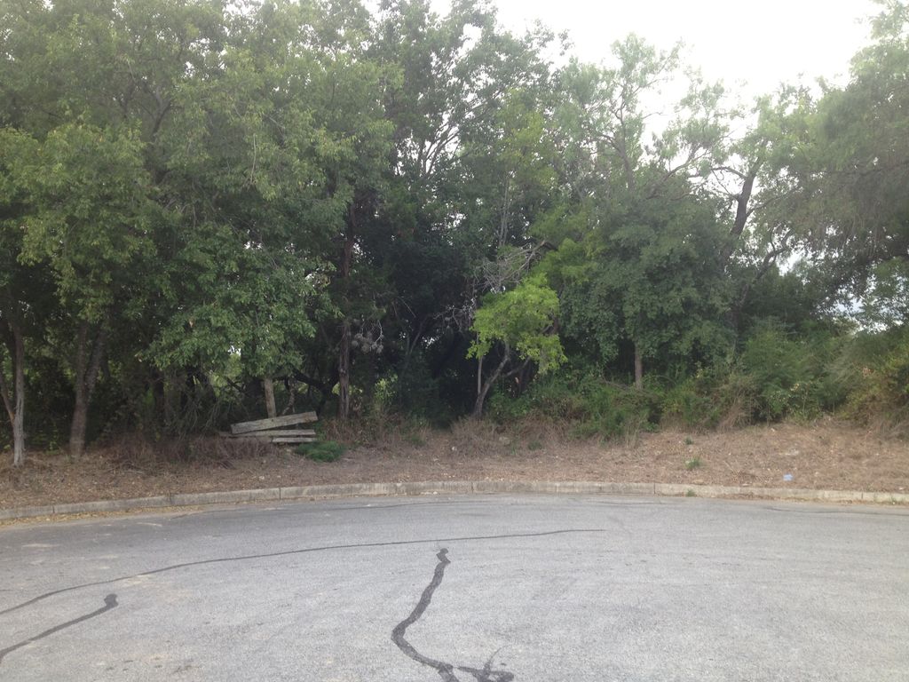Heavily brushed lot