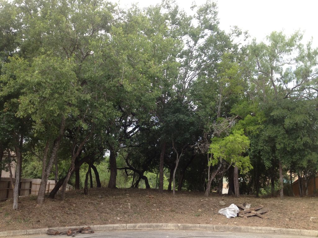 Lot clean up progress