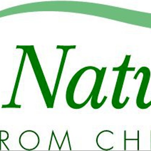 Chem-Dry uses the Natural to clean with.  Safe for