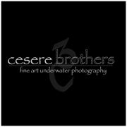 Cesere Brothers Photography - C3 Submerged