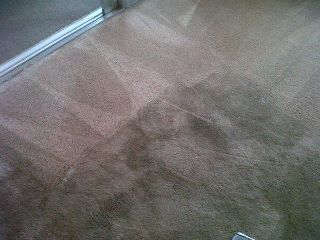 This is a carpet cleaning from the Waldo Canyon Fi