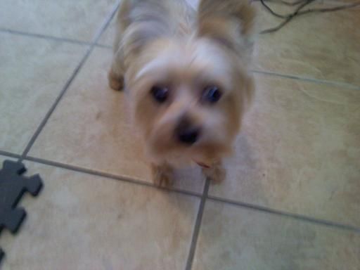 Barkay,,,what a doll